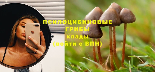 гашишное масло Горняк