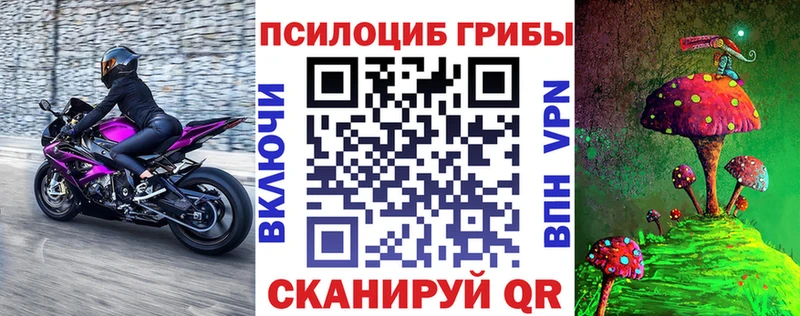 Галлюциногенные грибы прущие грибы  MEGA ТОР  Дальнереченск 